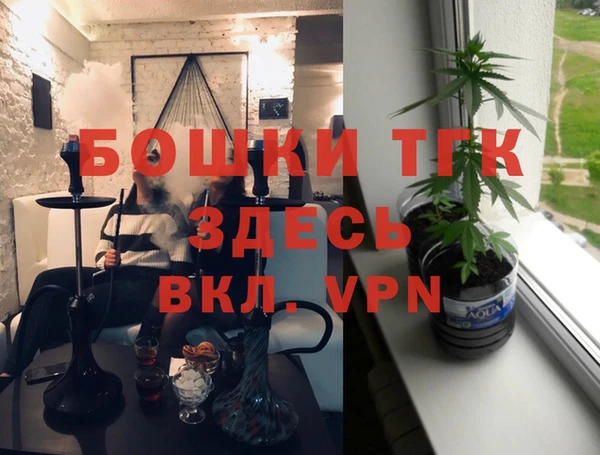 дмт Алексин