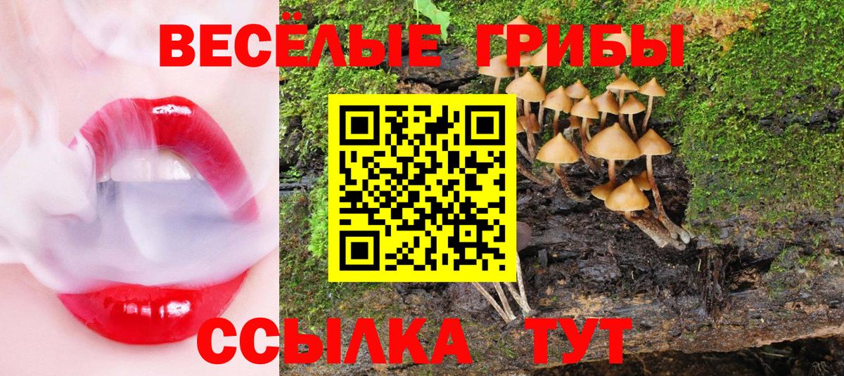 Псилоцибиновые грибы мухоморы Петрозаводск
