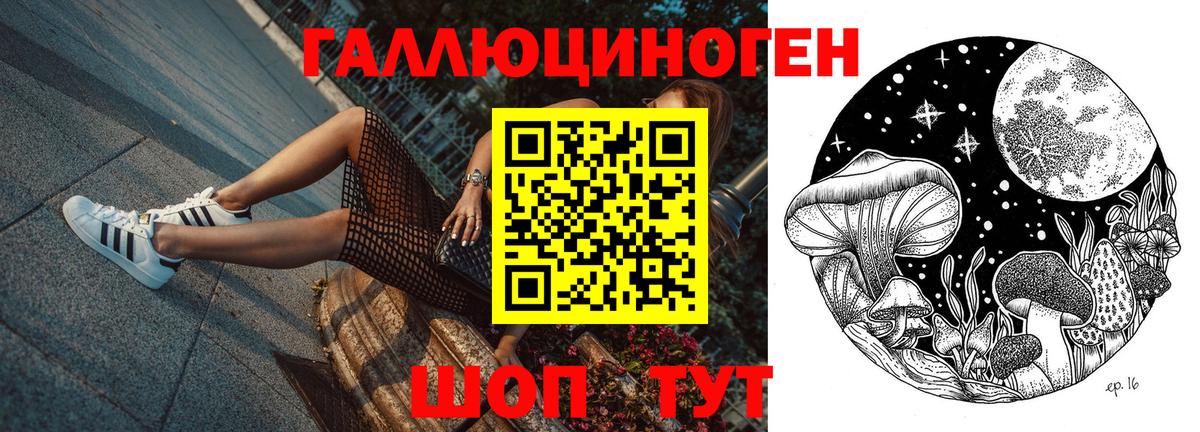 Псилоцибиновые грибы мухоморы Петрозаводск
