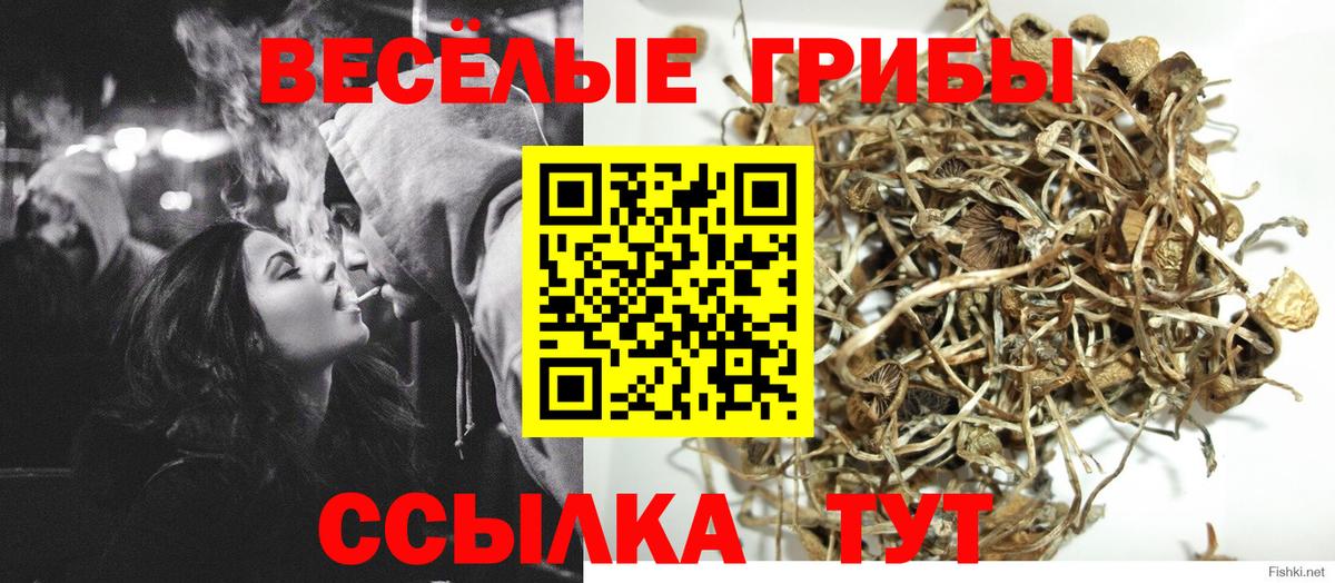 Псилоцибиновые грибы Magic Shrooms  Вход с VPN  Петрозаводск 