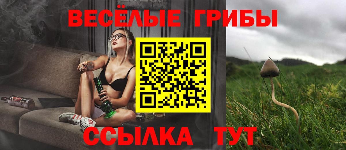 закладки  Вход с VPN  Петрозаводск  Галлюциногенные грибы ЛСД  Галлюциногенные грибы Cubensis 