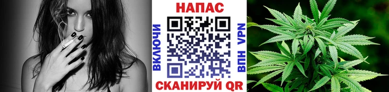 Марихуана ГИДРОПОН наркота Петрозаводск